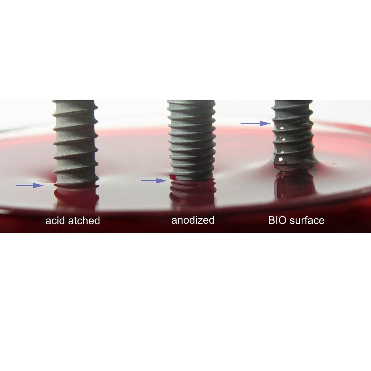 Surface BIO — une innovation de rupture