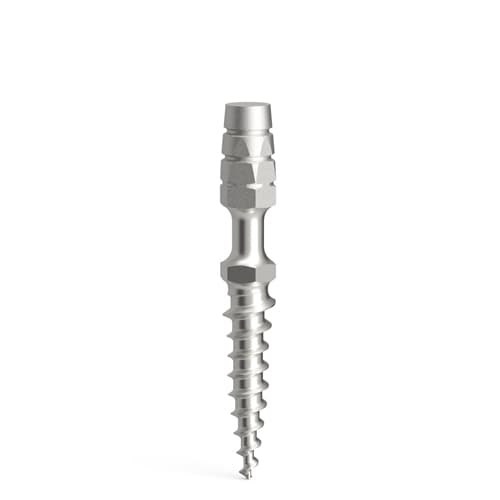Implants temporaires ProImplant